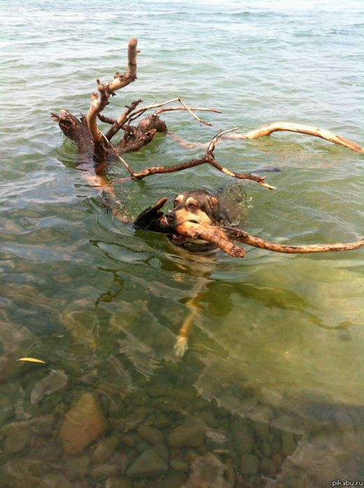 Главное верить в себя!