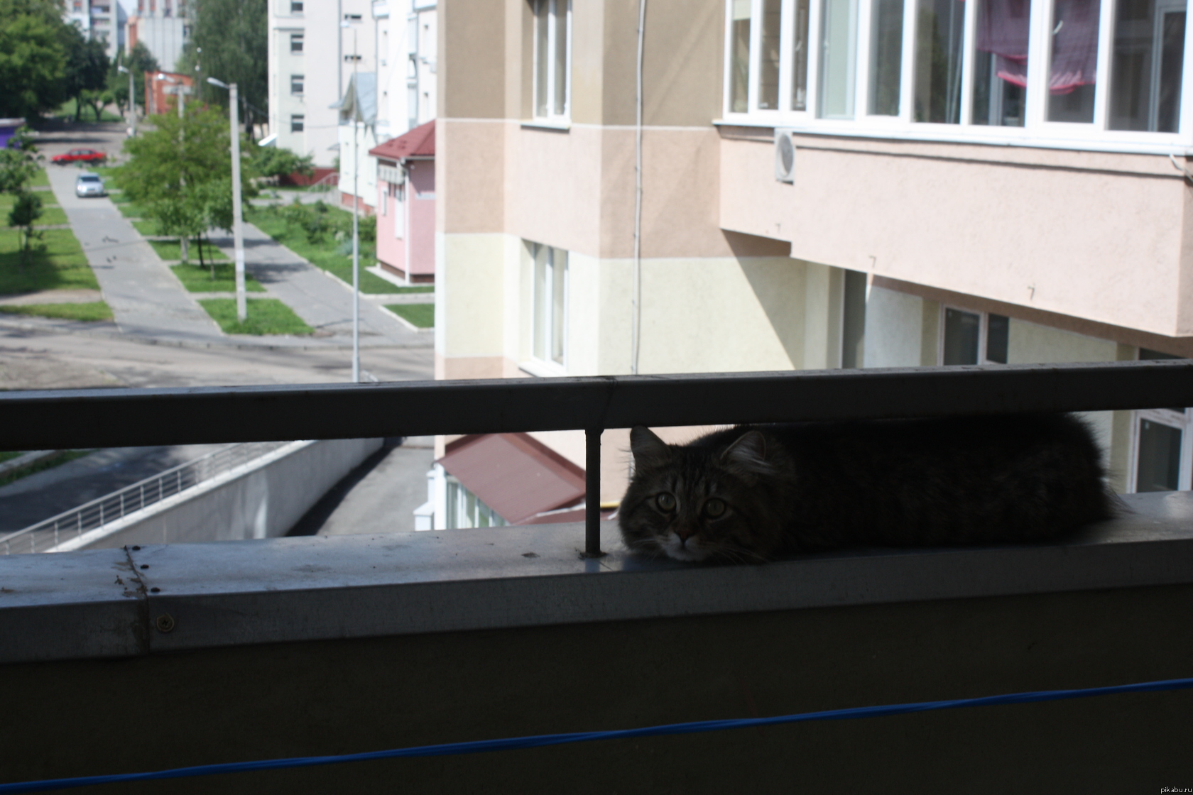 И снова я,и снова мой кот.Еще одна забавная история с моим котом.Еще одна забавная история с моим котом.Каждый день с утра мой кот бежит на