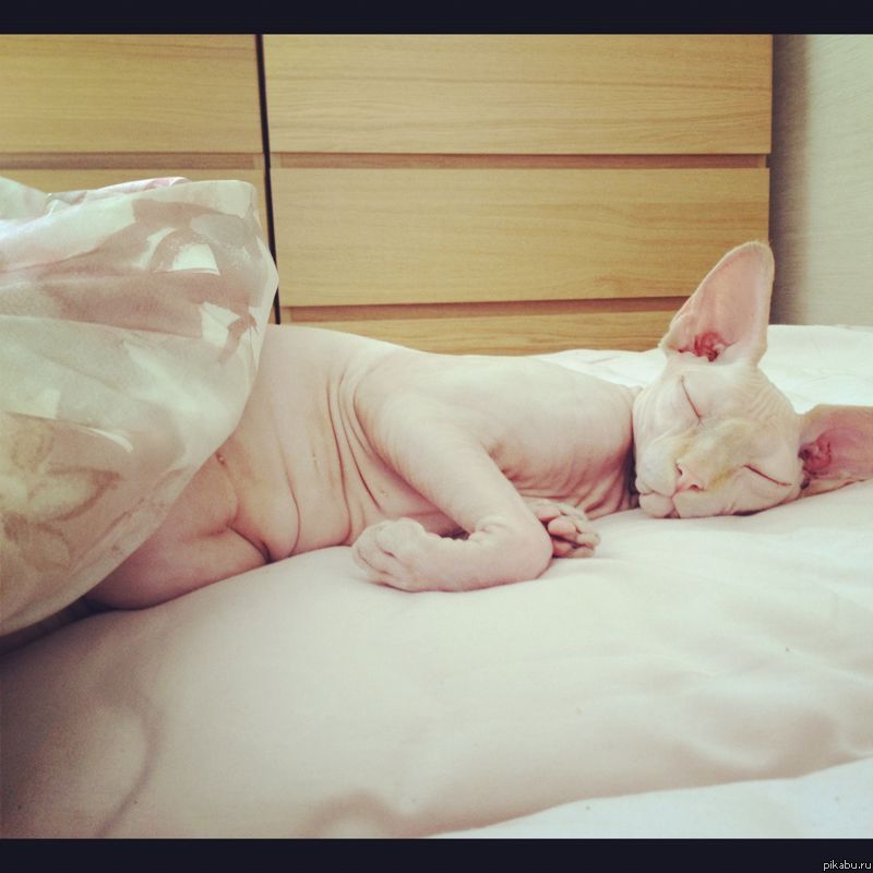 � ��� ��� �� ����))