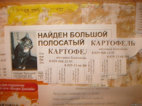 вот оно как