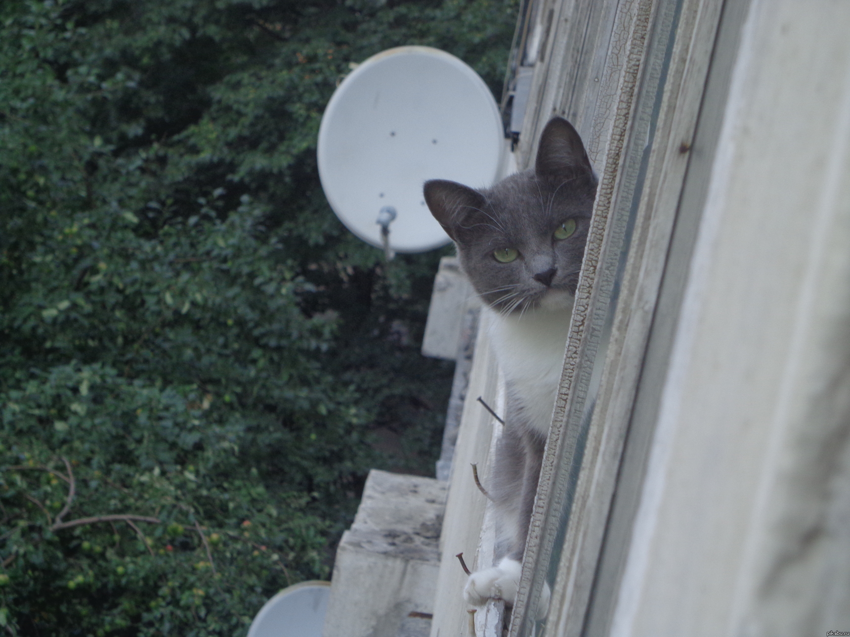 �������