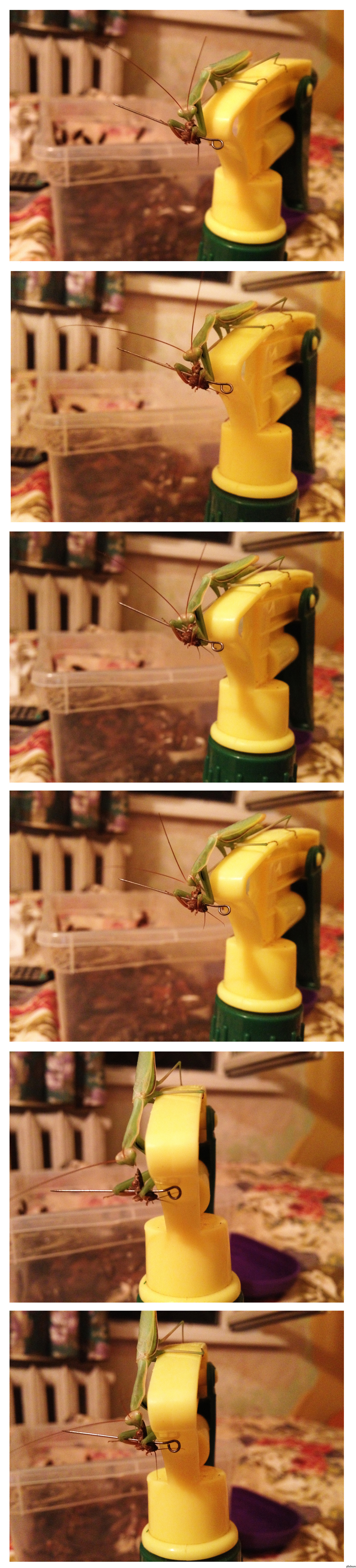 �������� ���� ����� �������� ^^