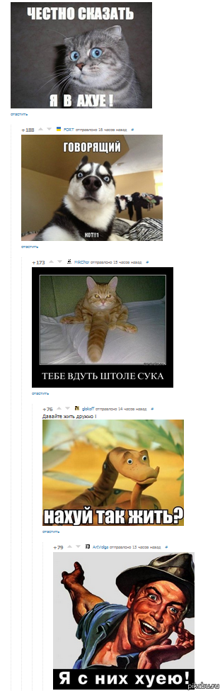 Вот за что мы так любим пикабу)