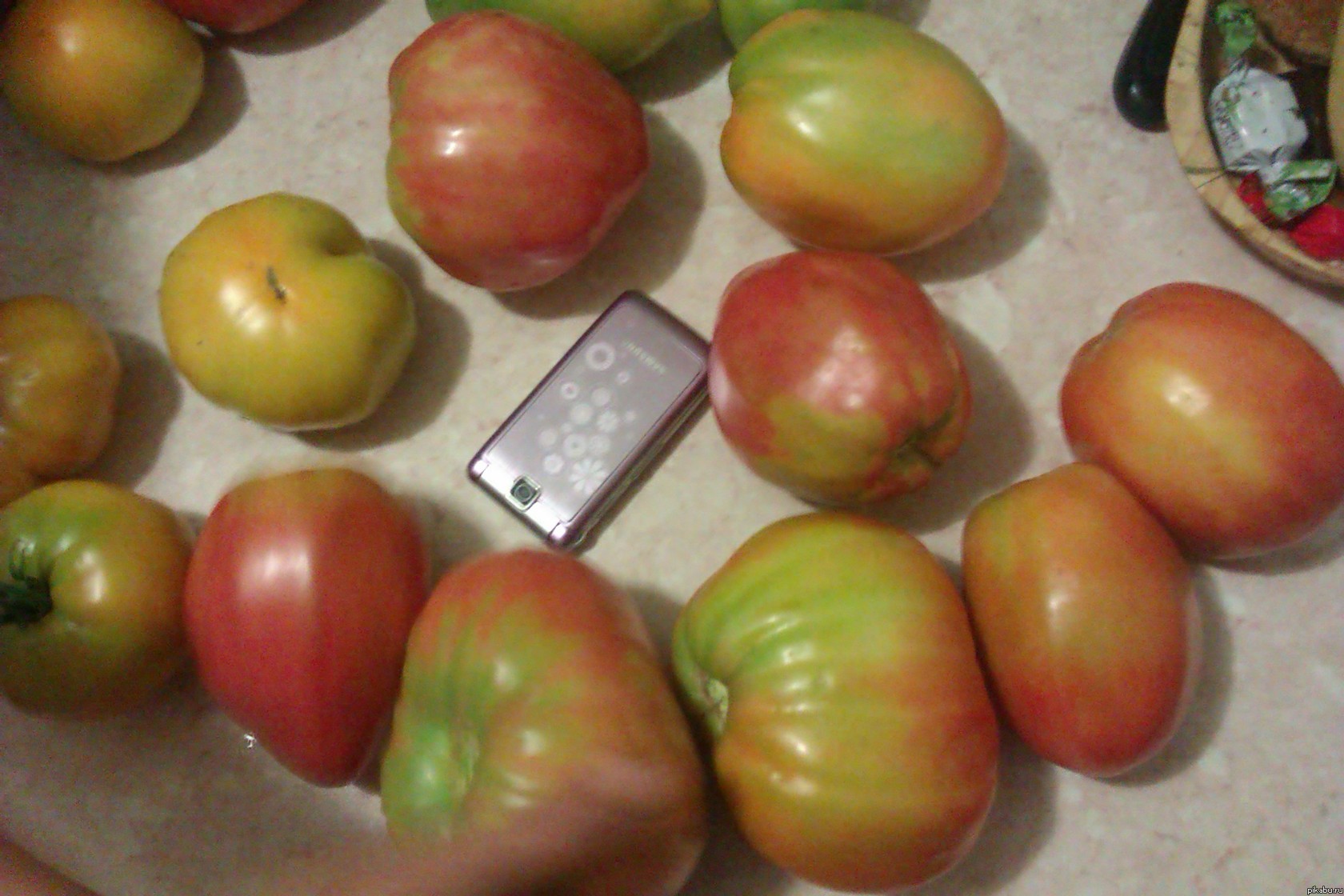 Мама вырастила)