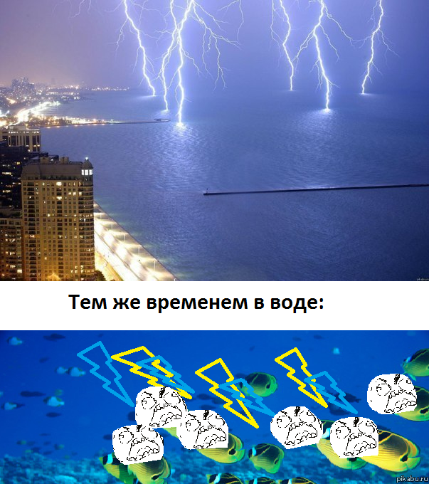 ������