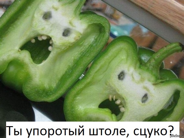 Да ты ж упоротый!