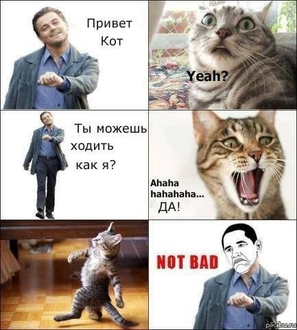     !)