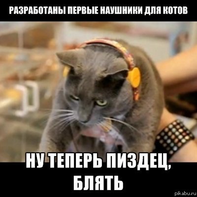 Наушники для котов | Пикабу