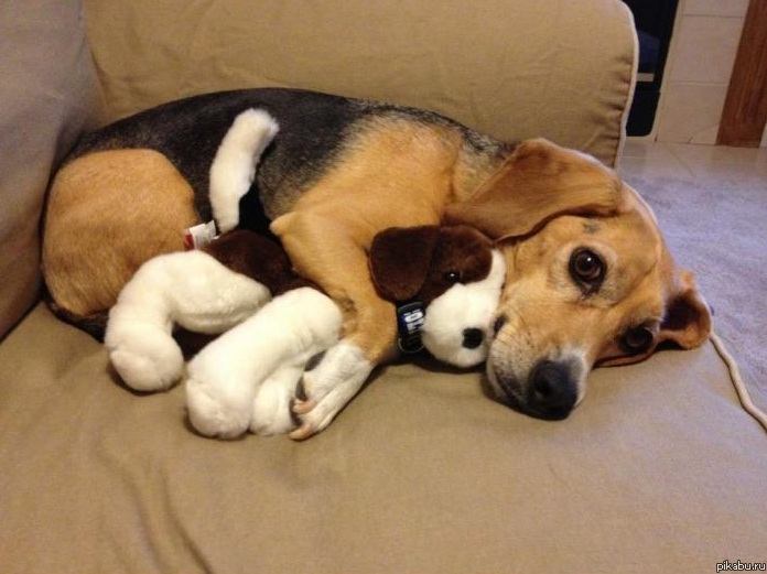 "��� ��������,������ �� �����"