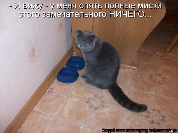 _LOL_
