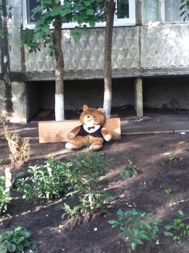 ��� ��� �� ���