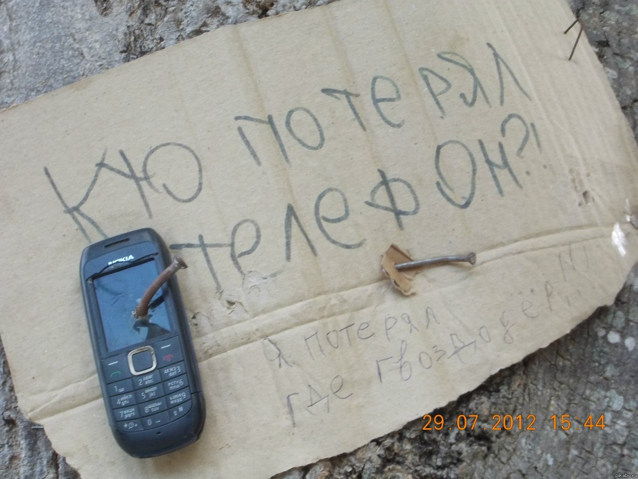 ����������