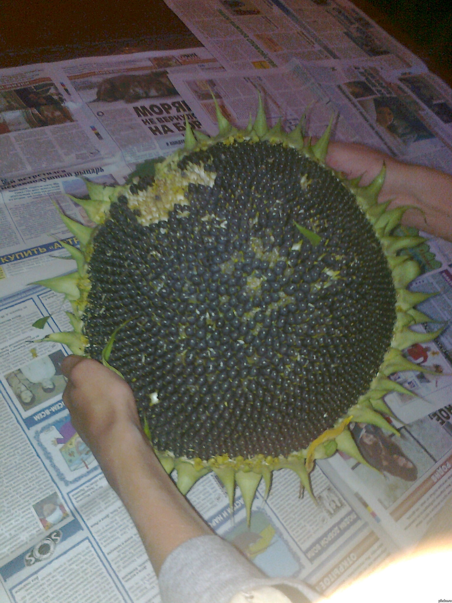  ,  ! =)   ,       ,  , ,     :D  P.S.  ,    :D