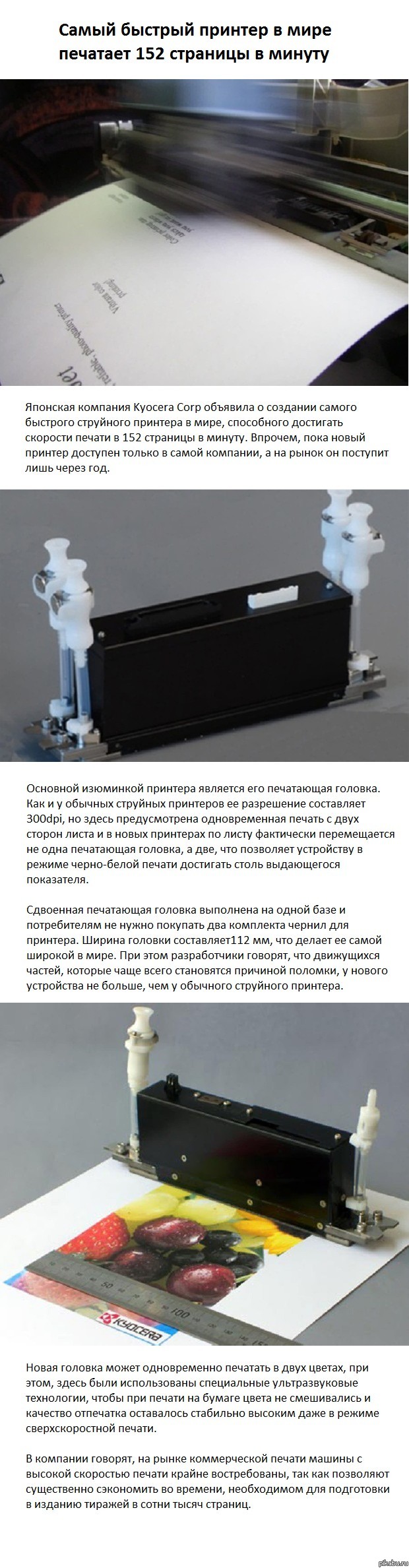 ����� ������� �������