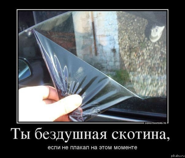 � ����� � ���������