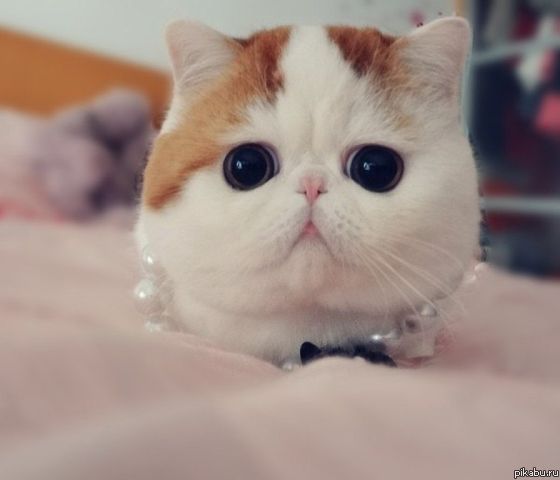 ������������� ��������� ^^