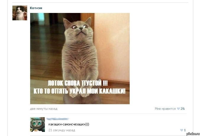 � ����� �������!:3