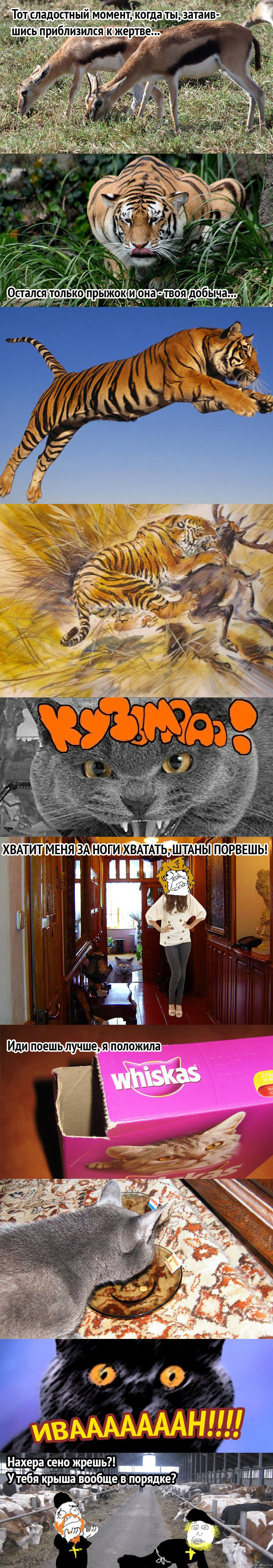 ,  