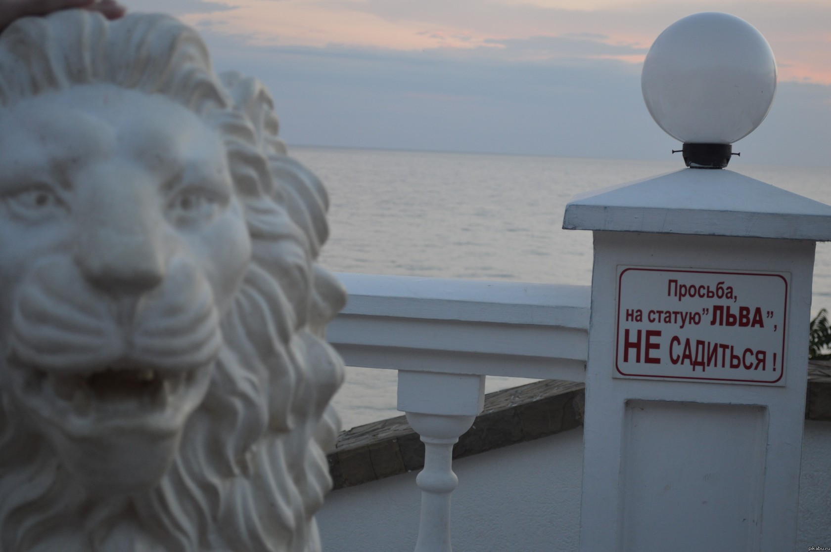 ��������:)