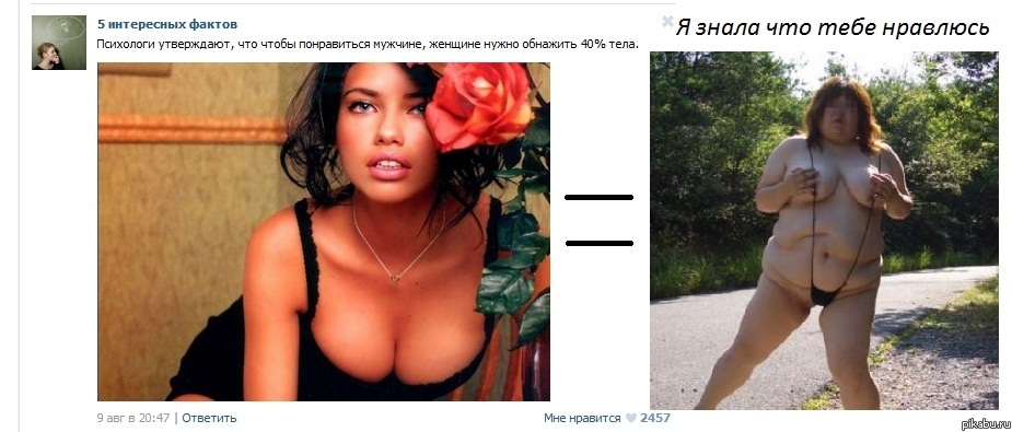 � ���� ���� ��������