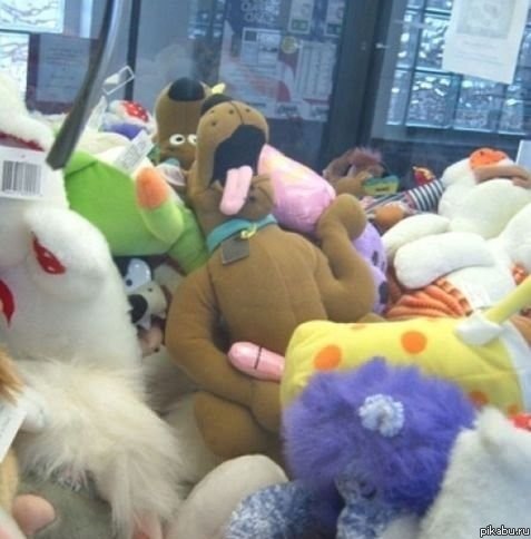 What are you doing, Scooby?