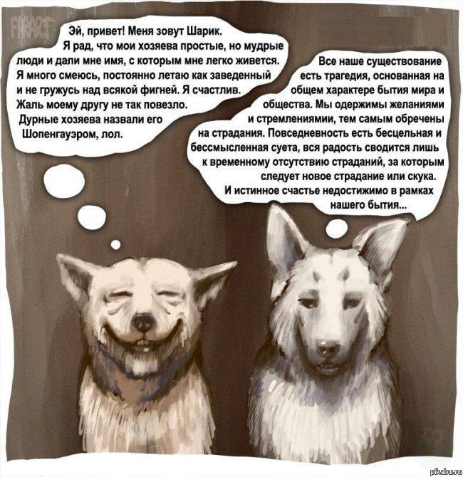 Как вы яхту назовете, так она и поплывет!