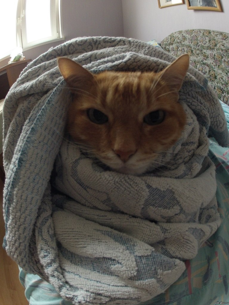 ���� � ������ )))