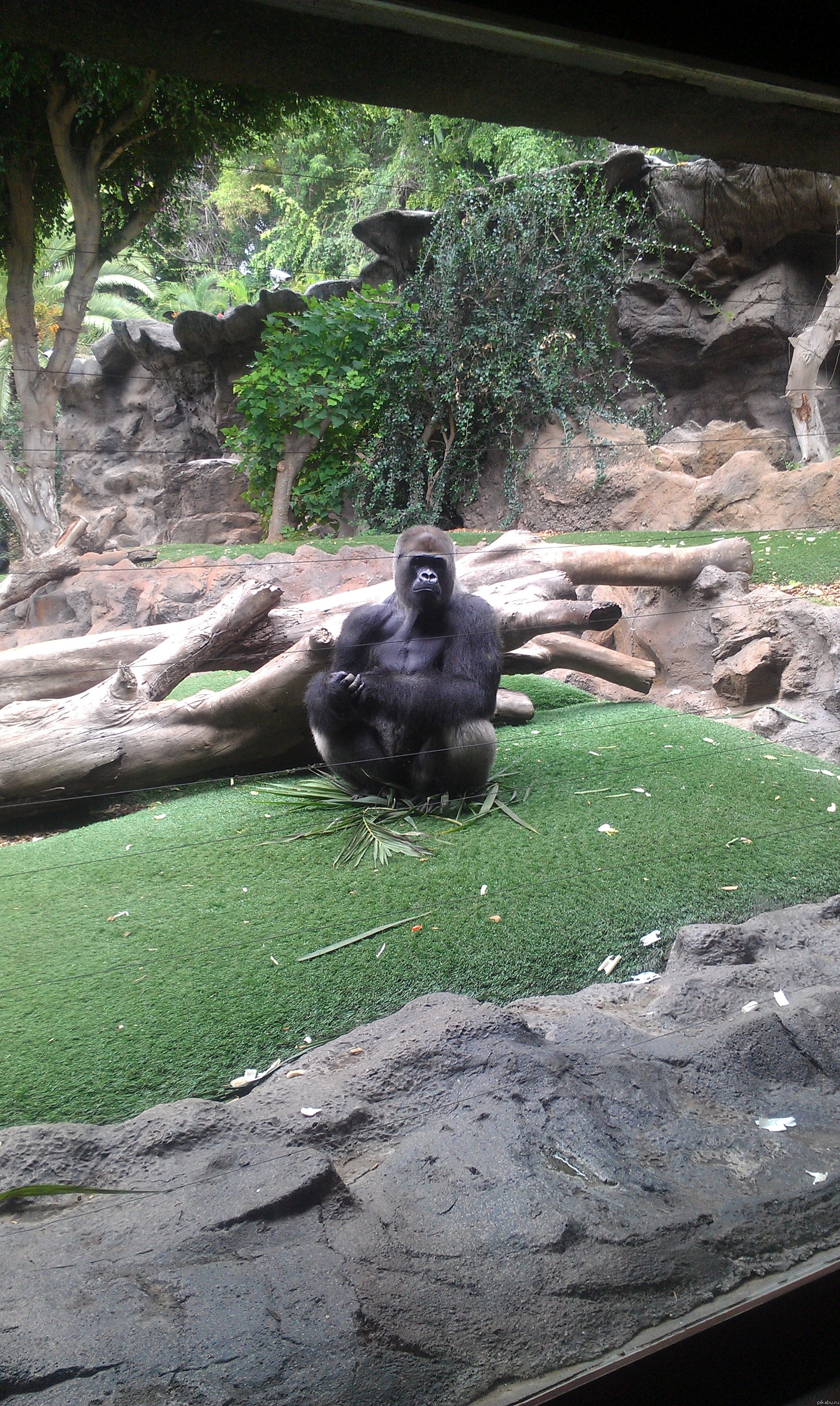 �� � ���� ����������?