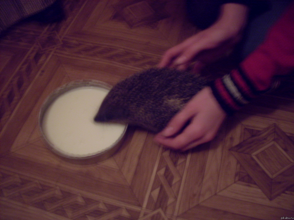 ���� �2) ���� �� ������ ����)