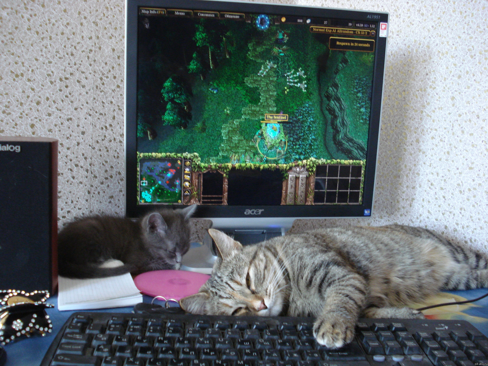 ������, � ������!