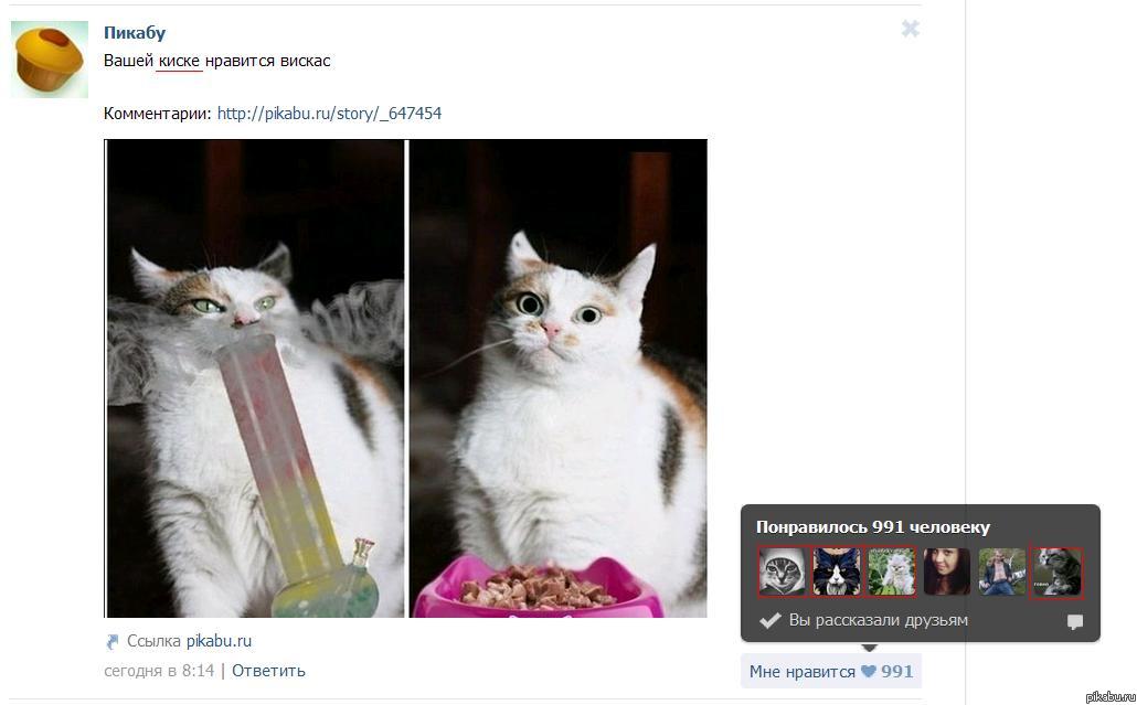 ���� - ������� :D