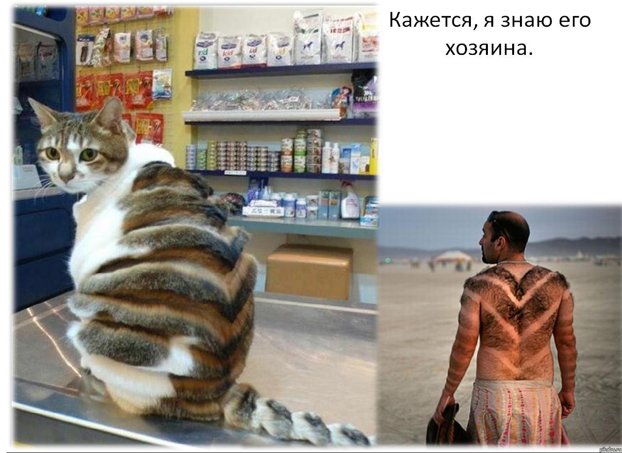 � ����� �������-������...