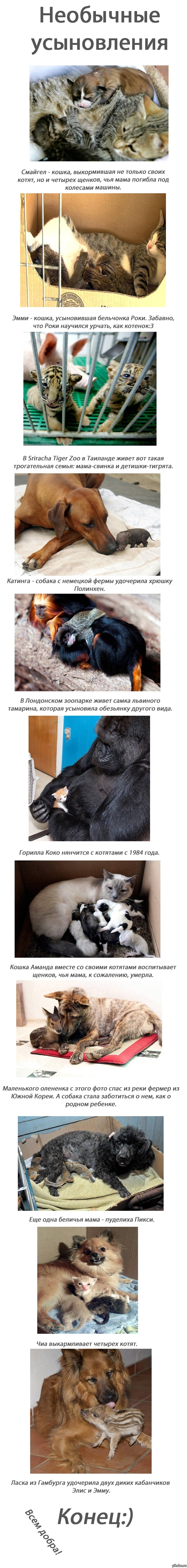 ��������� ����������� (����������)