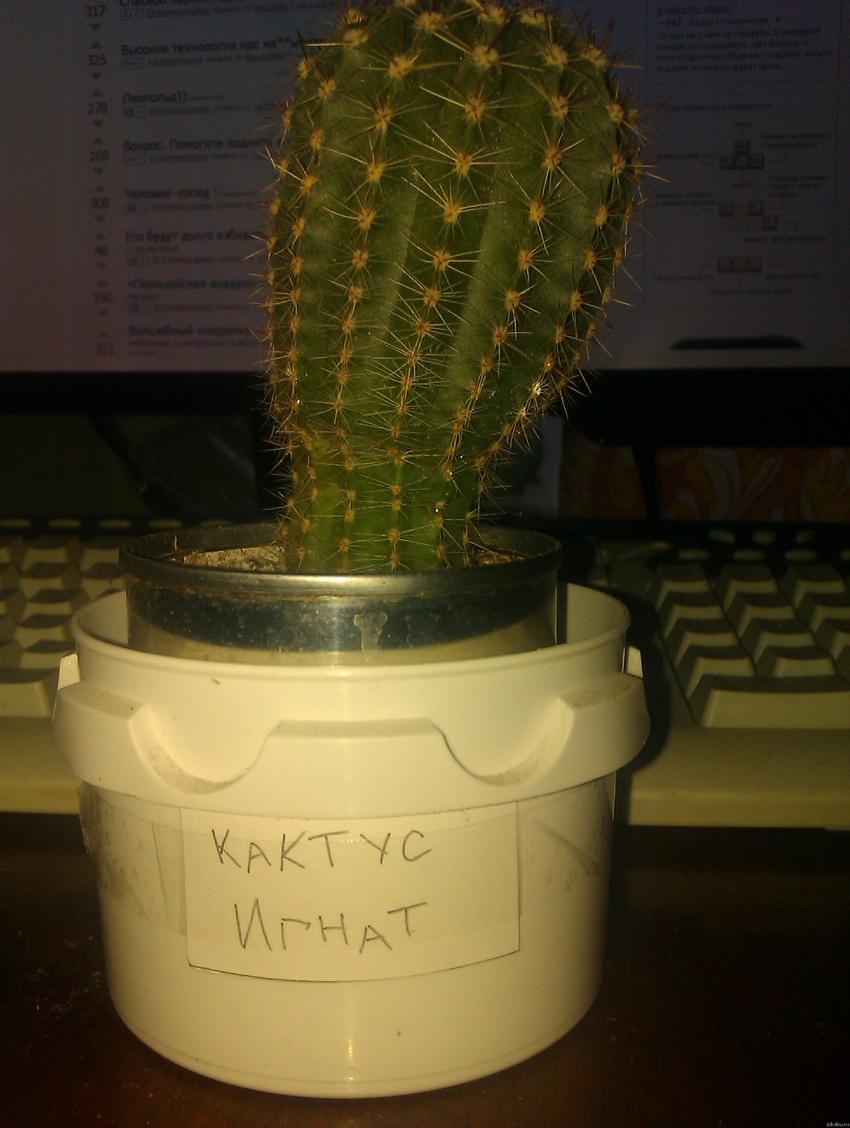 � ���� ������, �������... � � ����� ��� ��� :)