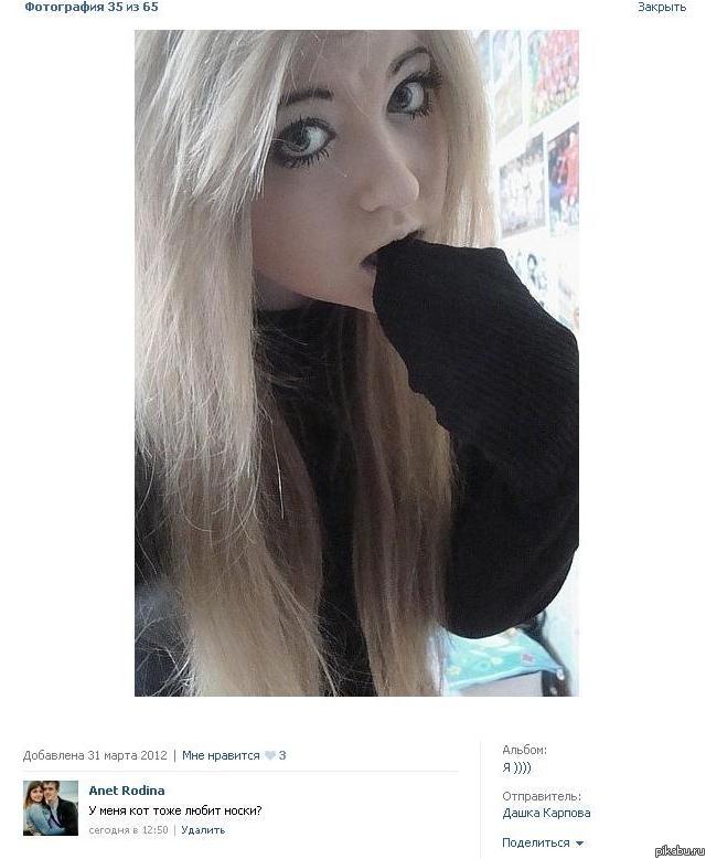 Мой кот тоже любит носки!