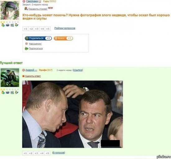 ���� �������