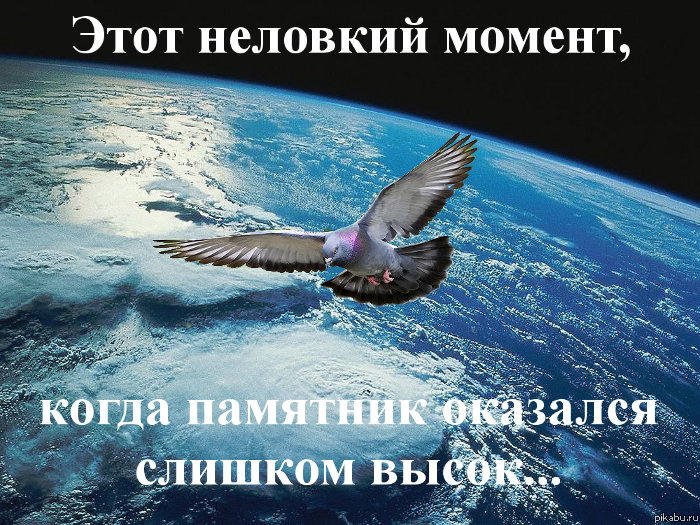 У голубей тоже бывают неловкие моменты