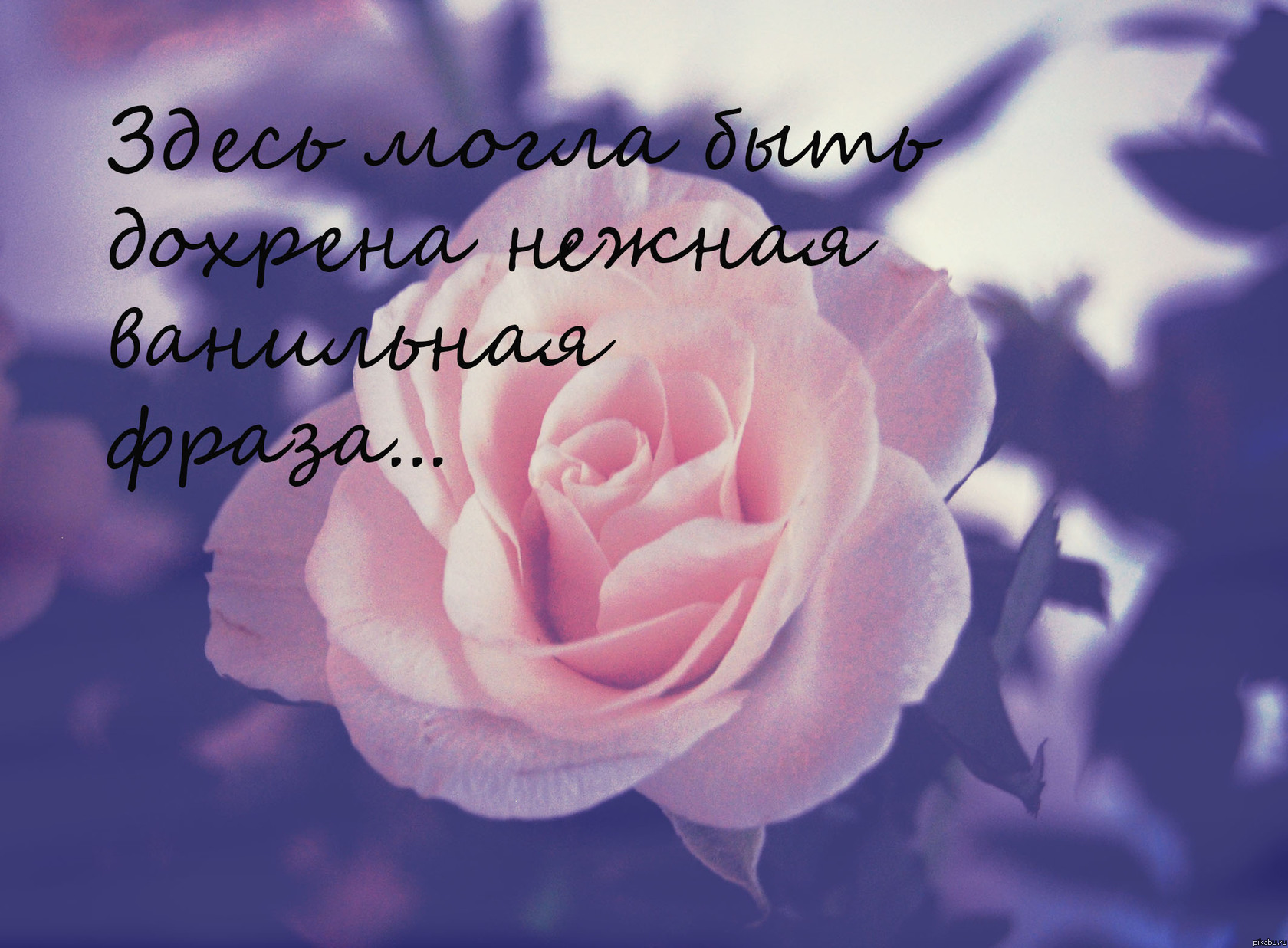 Ванильно | Пикабу