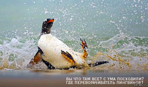 Переворачиватель пингвинов