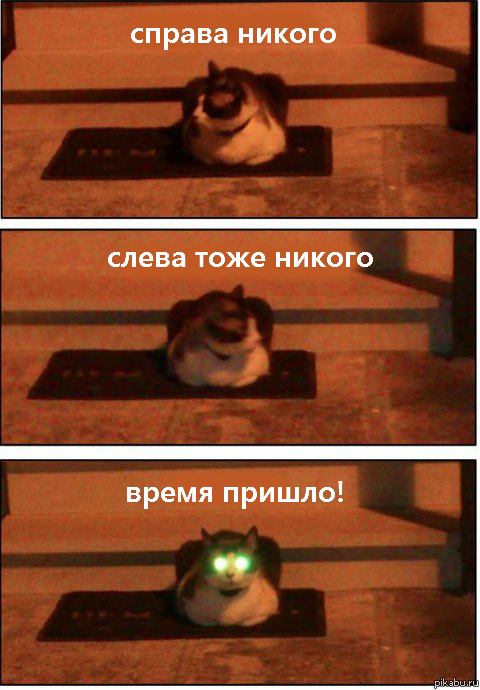 ��� ��� ��� ���������� �������, ����� ��� ��� ����)