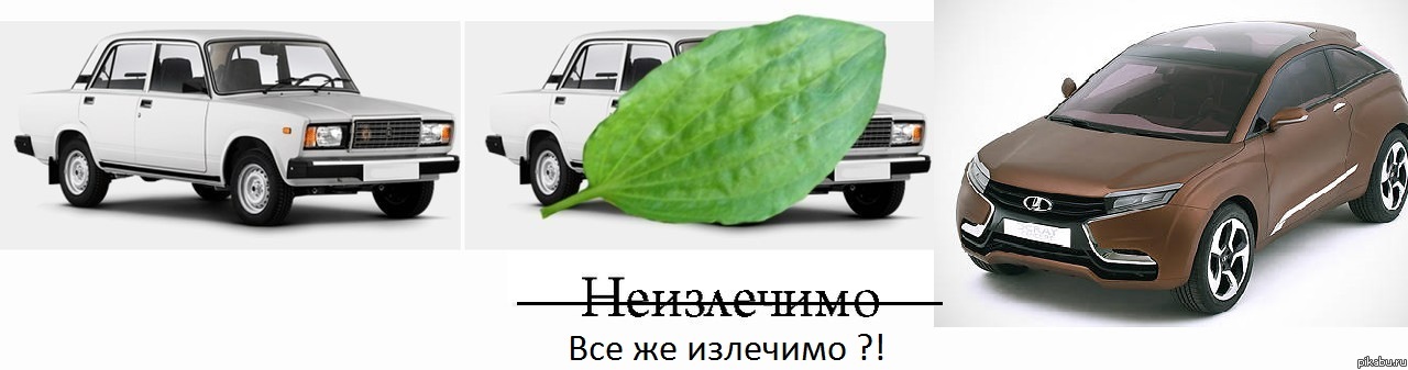 Все же излечимо?) | Пикабу