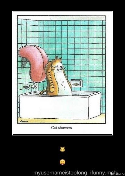 мечта любого котейки