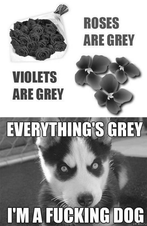 Roses are red, Violets are blue, Sugar is sweet, And so are you.