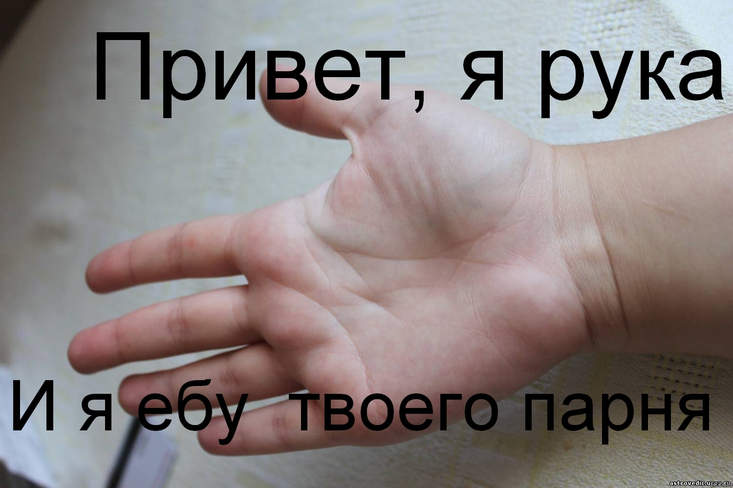  .  http://pikabu.ru/story/zhiznenno_661429