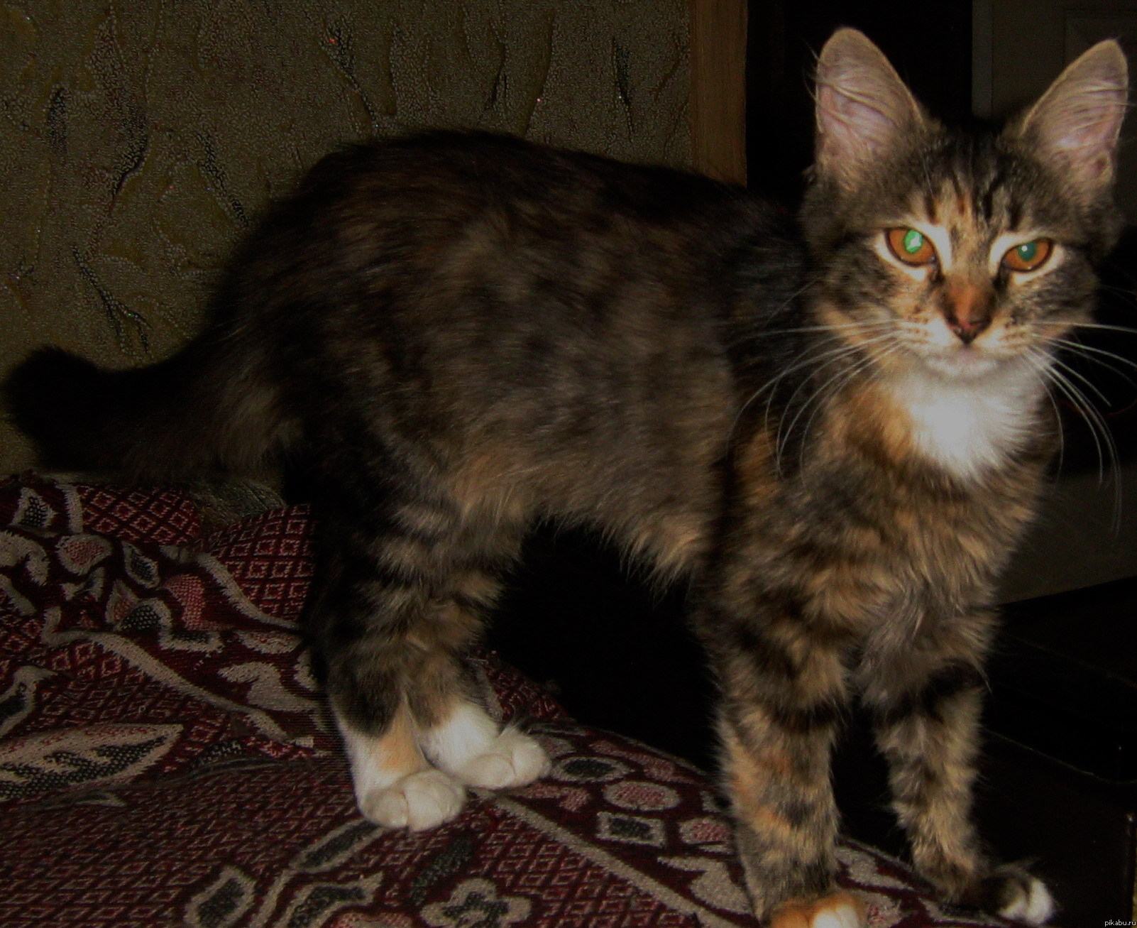 ����� � ������� ���� (��������������)