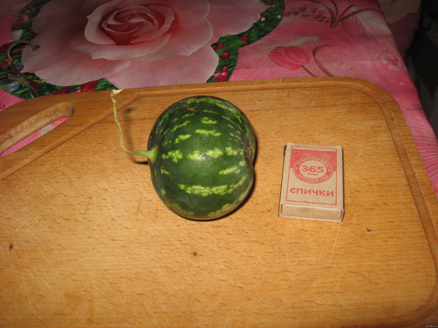 ��� ����� ������.