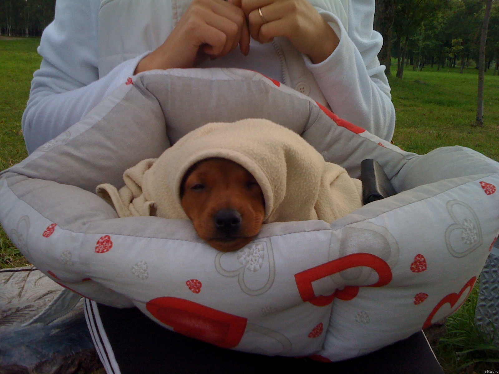 ��� ������ ���� �����? � ��� �� ����������� �������?