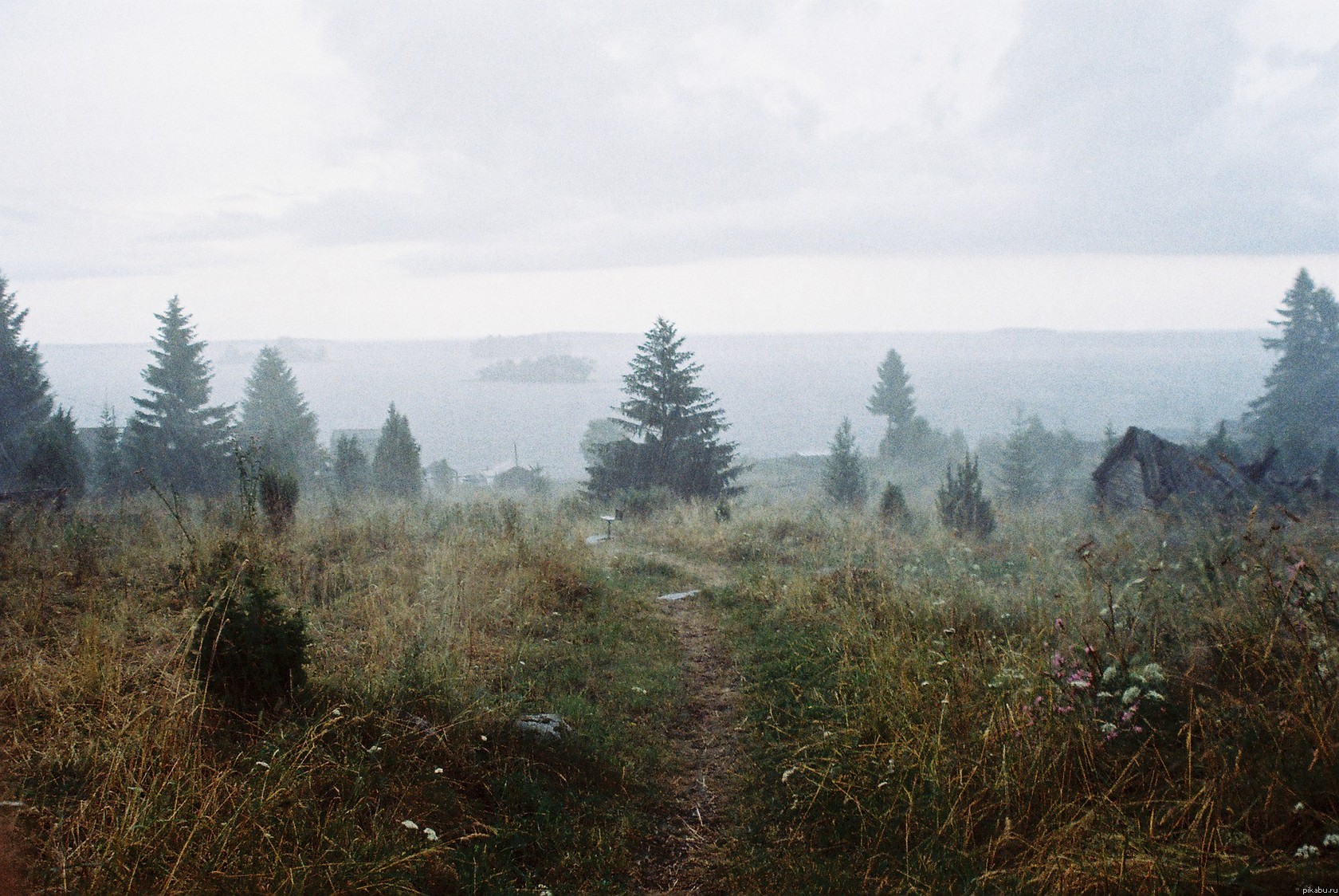 ������