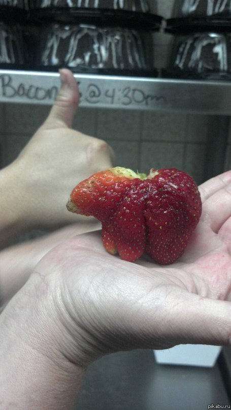 ��� ������ �� ��������� ������ ������