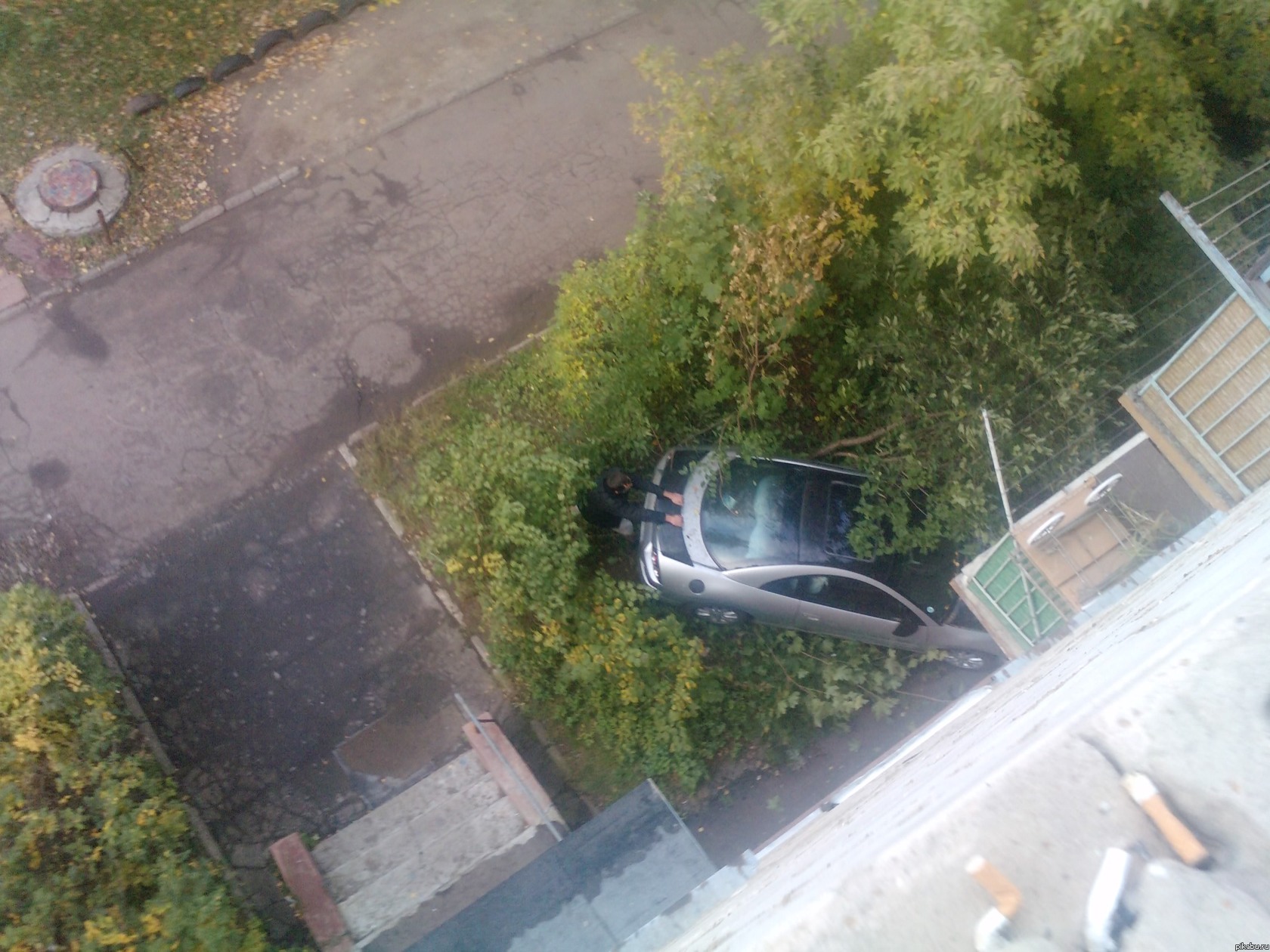 -        ... ,       .)